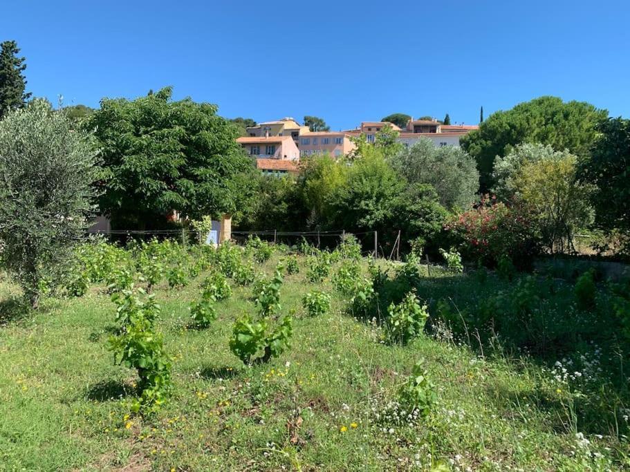 Maison Cadiere D'azur Holiday home