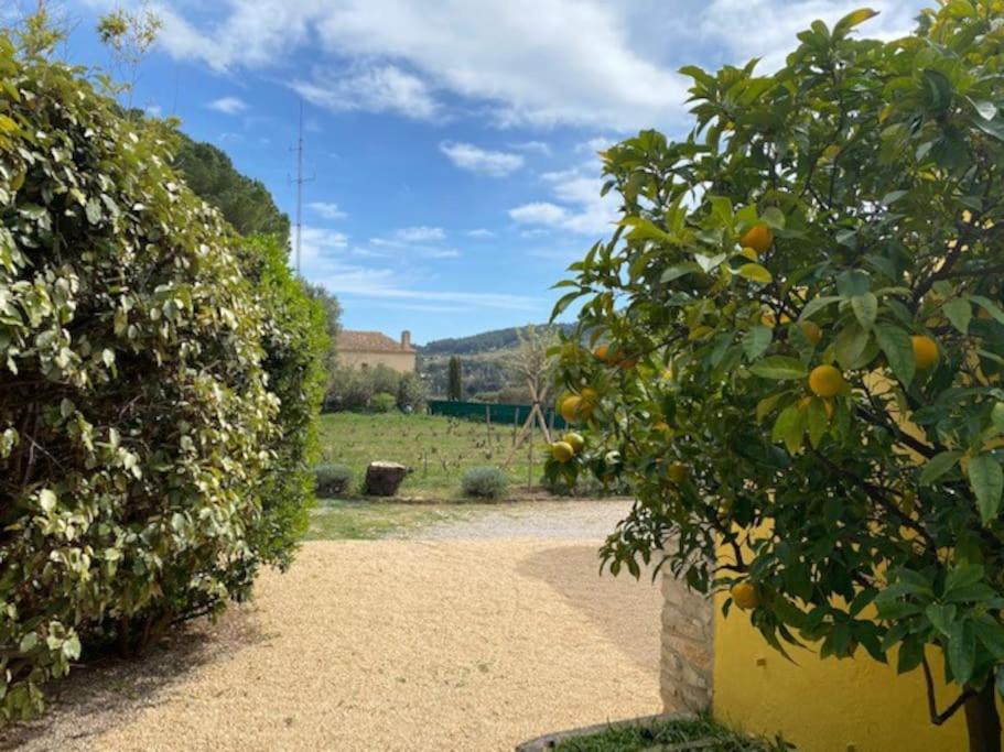 Maison Cadiere D'azur Holiday home La Cadiere-d'Azur